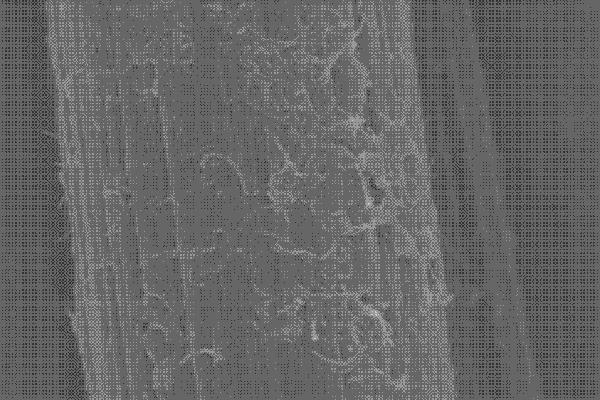 制備熱塑性碳纖維前，出廠自帶的上漿劑需謹慎處理