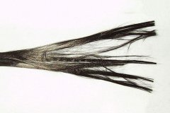 3k碳纖維管力學性能是否優(yōu)于24k碳纖維管？